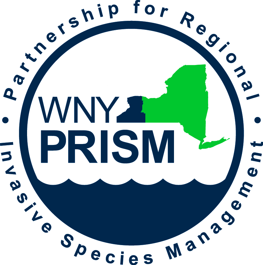 WNY PRISM logo