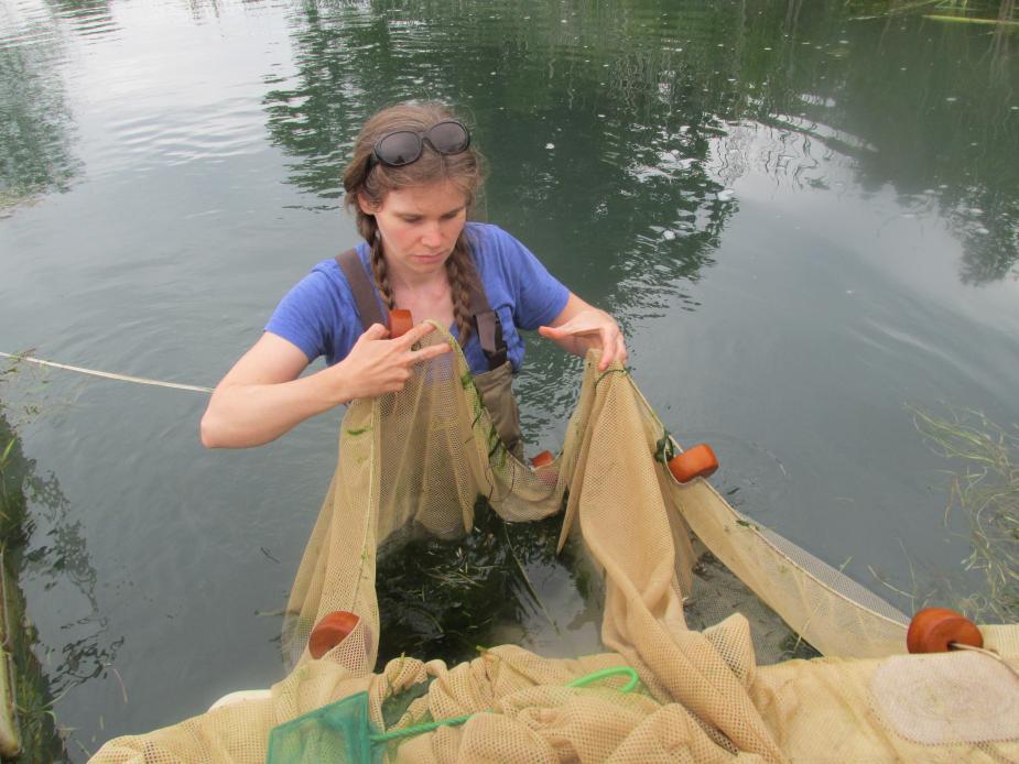 A person wearing chest waders stands in water up to their waist. They are holding and manipulating a net with floats on it.