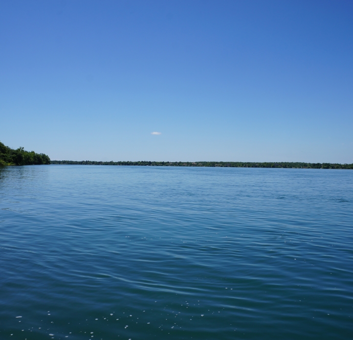 Calm water under a clear blue sky. There are some trees along the banks of the river.        