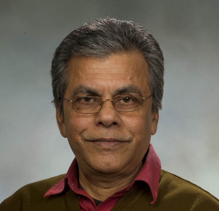 A medium-toned brown-skinned person with graying dark hair with a slight smile wearing wire-framed glasses and a brown sweater vest over a red button-up shirt