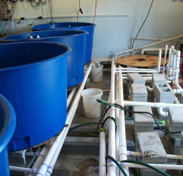 A row of large round tanks next to a row of exposed pipes and cinderblocks