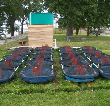 An experiment set up on a lawn, with twenty kiddie pools covered with nets and water flowing from a reservoir set up beyond the pools.