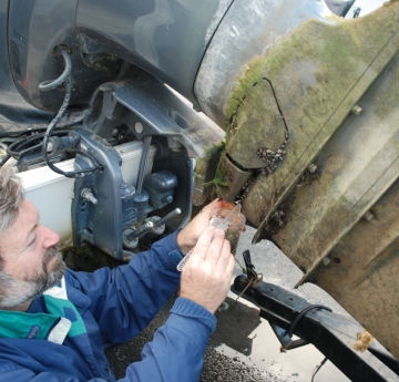 A person scrapes mussels on an outboard engine into a vial