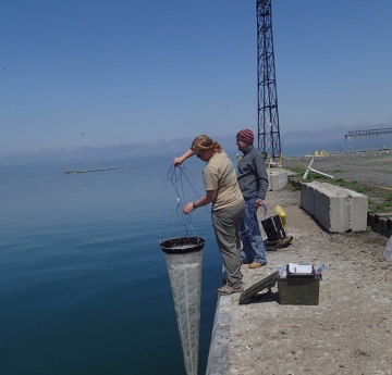 Two people stand at the edge of a wall near the water on a very calm day. One lowers a very long conical net into the water.