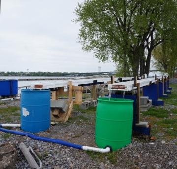 two long thin troughs held up about three feet from the ground with a round barrel at the end of each, set up on the waterfront.