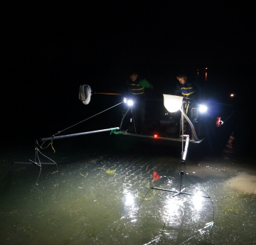 Nighttime picture of a boat with spotlights on the water, and two people holding nets on long poles above an array of wires on poles in front of the boat