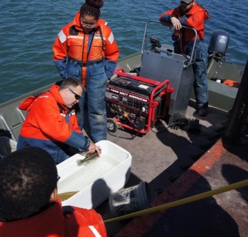 A person on a docked boat holds a fish in a cooler with water while others look on.