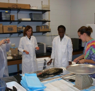 Four people in lab coats stand near a table with a fish on it. One person is taking a picture.