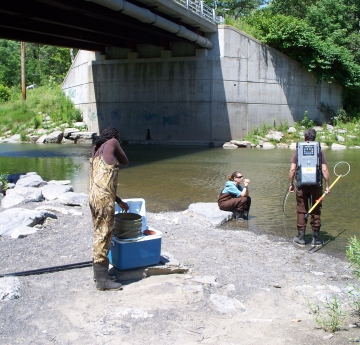 Three people stand near a creek wearing chest waders. One stands in the water with a backpack unit on and holds a pole with a wire hoop at the end. Another sits on a rock by the water. A third gets ready near a cooler with buckets in it.