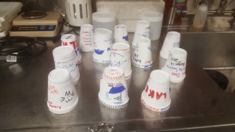 A bunch of styrofoam cups on a steel countertop. The cups have been decorated with marker and the styrofoam is more dense than normal.