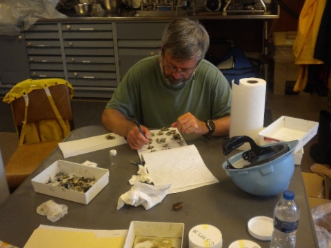 A person works at a table, picking through a sample of mussels.