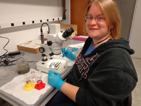 A person with glasses and shoulder-length blond hair sits at a microscope in a lab.