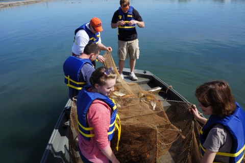 Five people on a boat. There is a large net in the boat with some fish in it.