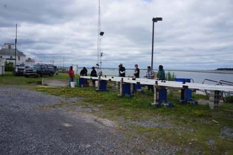Seven people stand near two long narrow platforms by the waterfront.