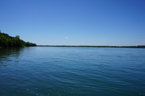 Calm water under a clear blue sky. There are some trees along the banks of the river.        