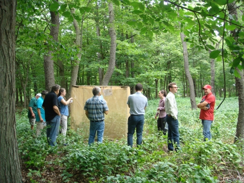 Some people stand in the woods around a mesh enclosure that is 6 foot on a side.