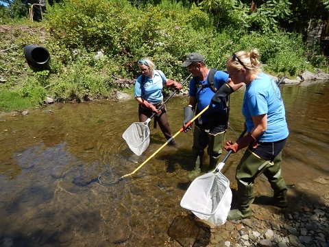 Three people wading in a shallow stream. The person in the middle is holding a long rod in the water, while the two on either side hold large nets on poles.