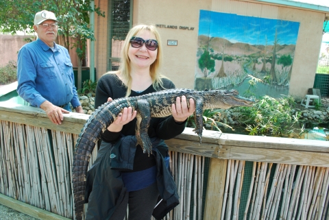 A person holding a small alligator near an enclosure marked Wetlands Display. Another person stands nearby inside the enclosure.