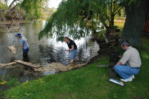 Three people working at the edge of a creek. One is crouched by a box on the shore, a second is wading in shallow water, and a third is wearing hip waders in deeper water and carrying a kick net.