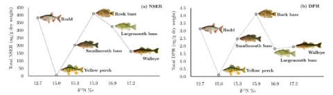Two graphs side-by-side. Each x-axis represents trophic level, and the y-axis is concentration of either norsertraline or diphenhydramine. The concentration of pollution found in each fish is graphed by increasing trophic level. Six fish (pictured next to their points) are shown. Rudd, yellow perch, smallmouth bass, rock bass, largemouth bass, walleye.