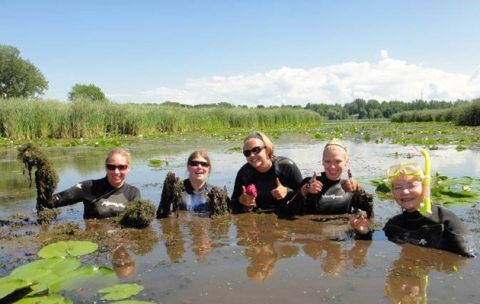 Five people in wet suits swim in a wetland, pausing to smile and hold up weeds or thumbs up