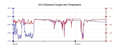 A graph with two lines and y-axes for temperature and dissolved oxygen. There are drops in temperature in early August, but not much change in oxygen levels. In late August there were brief periods of low temperature and low oxygen. In early September, there was a prolonged period of low temperature and low oxygen, which coincides with a fish die-off.