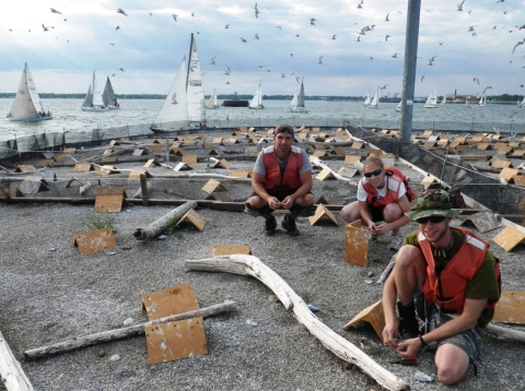 Three people crouch on gravel with driftwood logs and small wooden shelters. Many white birds fly overhead. A number of sailboats sail in the water behind the gravel area.
