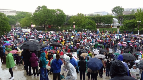 A crowd of people holding signs and umbrellas on steps in a park
