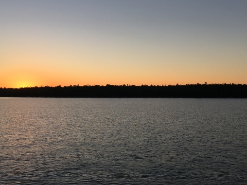 The sun sinks behind the trees onshore at sunset on a lake. There are no clouds, and the sun sets on the left side of the picture, with yellows and oranges blending gently into blue across the sky and water.
