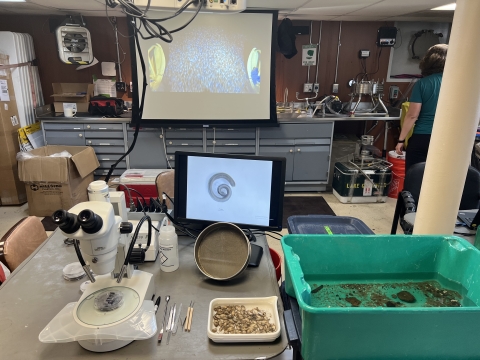 A scientific demonstration with a microscope and tools, a fine mesh sieve, a tray of mussels, a tub with sediment and organisms, a computer screen with a curled up leech, and a projector screen with a video of the lake bottom