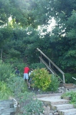 A person stands among shrubs and plants next to a wooden staircase on a slope.