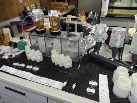 Bottles, filters, and filtration funnels set up on a counter in a lab.