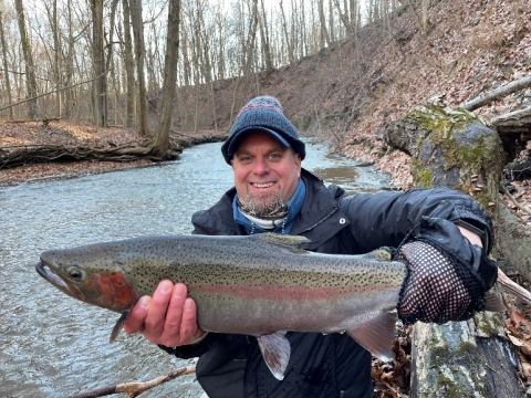 A person standing by a creek holding up a large fish with spotting on the upper half, red gill covers, and a red streak down the lateral line