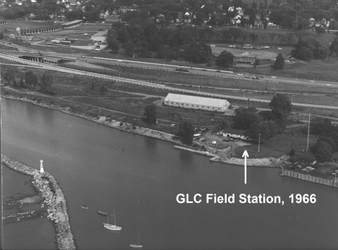 black and white aerial photo of the shore along a river. There is an arrow pointing to a building with text "GLC Field Station, 1966"