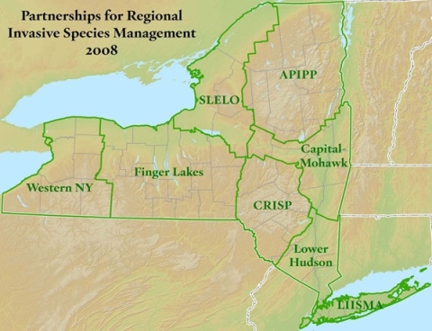 A map of NY with several regions outlined, representing Partnerships for Regional Invasive Species Management 2008: Western NY, Finger Lakes, SLELO, APIPP, Capital-Mohawk, CRISP, Lower Hudson, LIISMA.