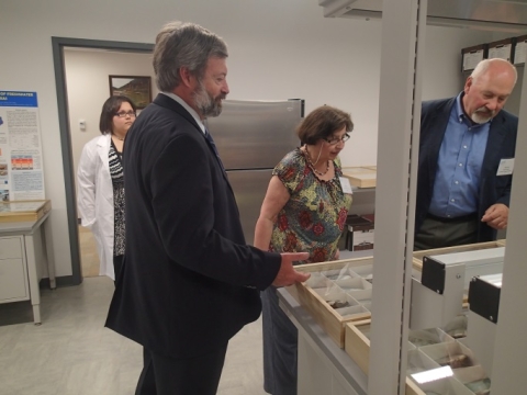 A person gestures to a display of mussel shells on a table as three people enter the lab.