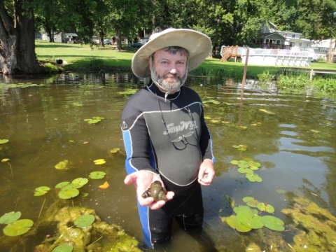 A person in a wetsuit and a sun hat stands in the shallows of a lake near the shore holding out a hand with two very large snails
