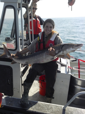 A person holds a four foot grey fish on a boat. Another person stands behind them.