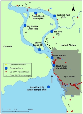 Map of the Lake Erie and the Niagara River, with the US and Canada. The city of Buffalo is delineated. Eight sample sites are marked (Lake Erie, Black Rock Canal, Rich's Marina, Beaver Island, Isle View, Big Six Mile, Gratwick Park, and Sandy Beach).