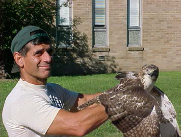 A person wearing a backwards baseball hat and t-shirt holds a hawk with spread wings near a building