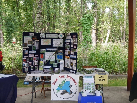 A table with an informational display, some plants, a poster that says "Stop the Invasion," and a label that says "WNY PRISM."