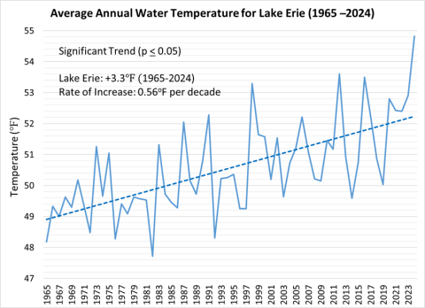 line graph of average annual water temperature for Lake Erie from 1965 to 2024. Water temperature fluctated annually, trending upward significantly, raising 0.56º per decade.