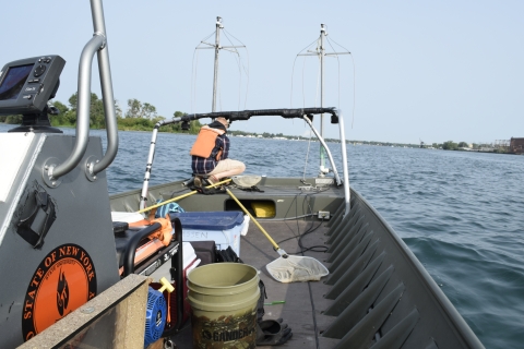 A view taken from the back of a small boat. A person crouches at the front of a boat. The boat has two poles at the front with wires dangling from them. There are nets and buckets on the deck of the boat.