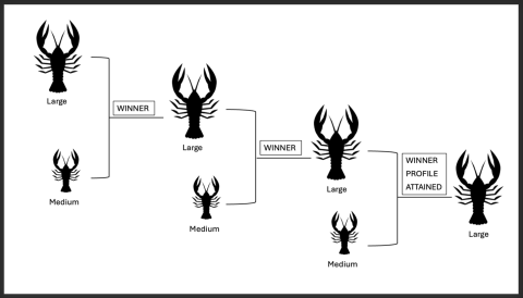 Series of illustrations of large crayfish bracketed with a medium crayfish, the winner is the next large crayfish bracketed against another medium crayfish, the winner is the third large crayfish bracketed against a medium crayfish, and the final large crayfish labeled "Winner profile attained"