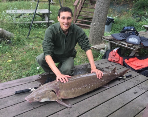 A person kneels on a picnic table next to a three-foot long fish.