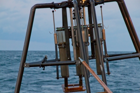 A metal frame with long tubes of mud hangs in front of the water.