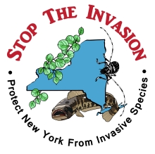 Stop the Invasion, protect New York from invasive species