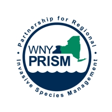 WNY PRISM Partnership for Regional Invasive Species Management