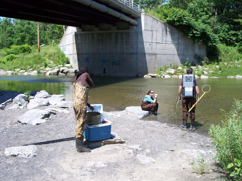 Three people stand near a creek wearing chest waders. One stands in the water with a backpack unit on and holds a pole with a wire hoop at the end. Another sits on a rock by the water. A third gets ready near a cooler with buckets in it.