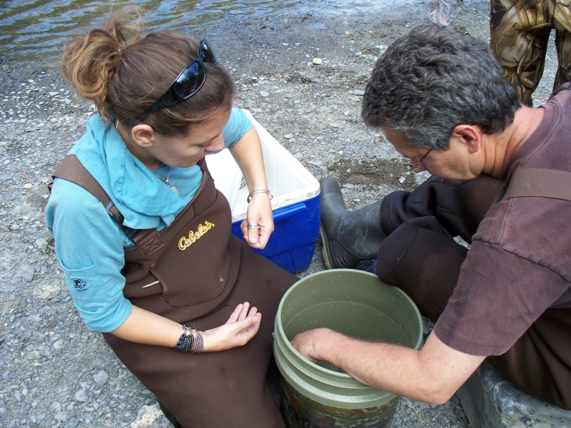 Two people in hip waders look into a plastic bucket on the shore